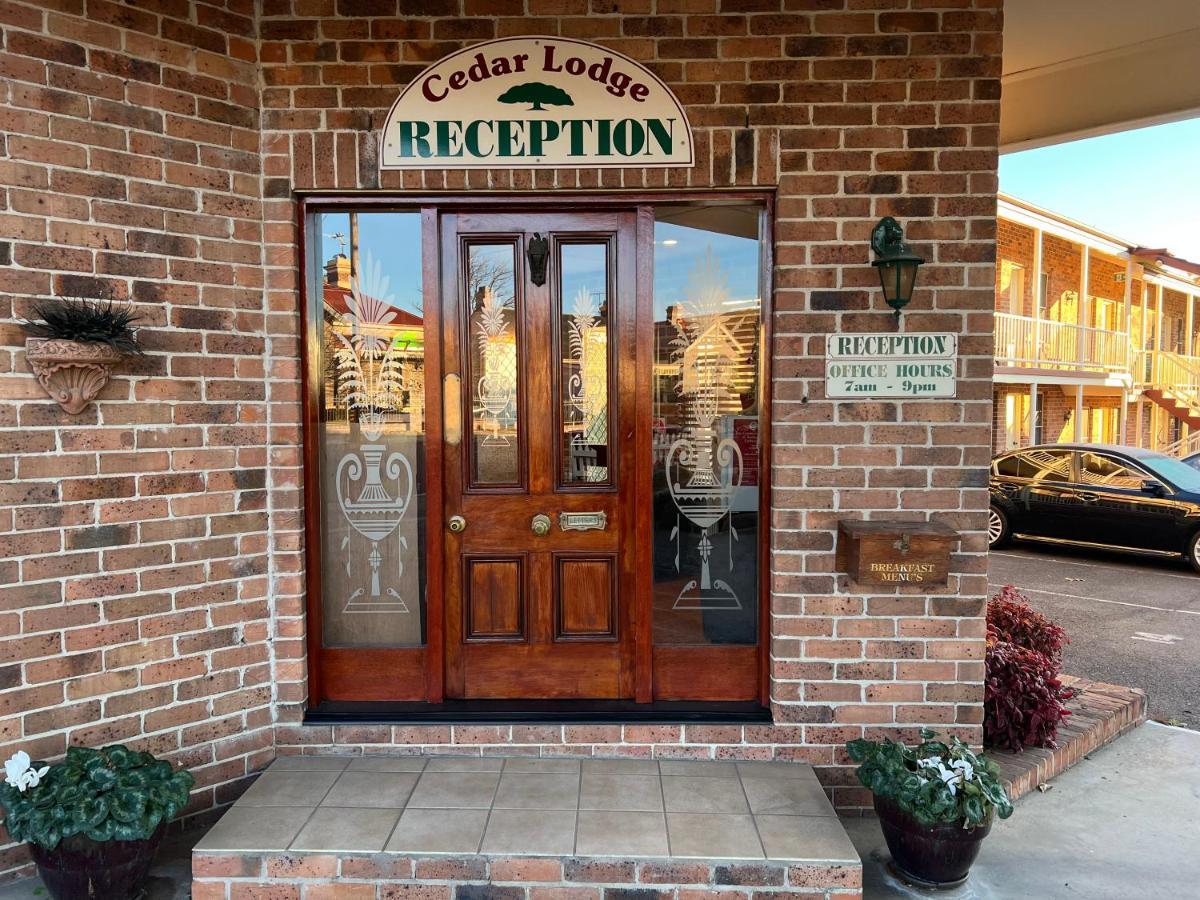 Cedar Lodge Motel Armidale Ngoại thất bức ảnh
