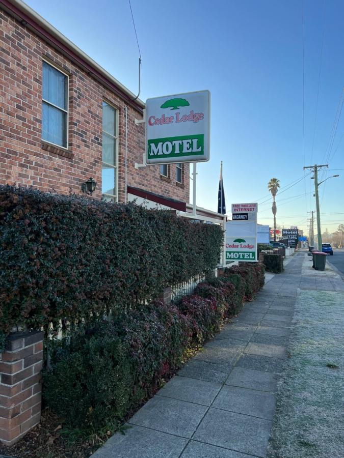 Cedar Lodge Motel Armidale Ngoại thất bức ảnh