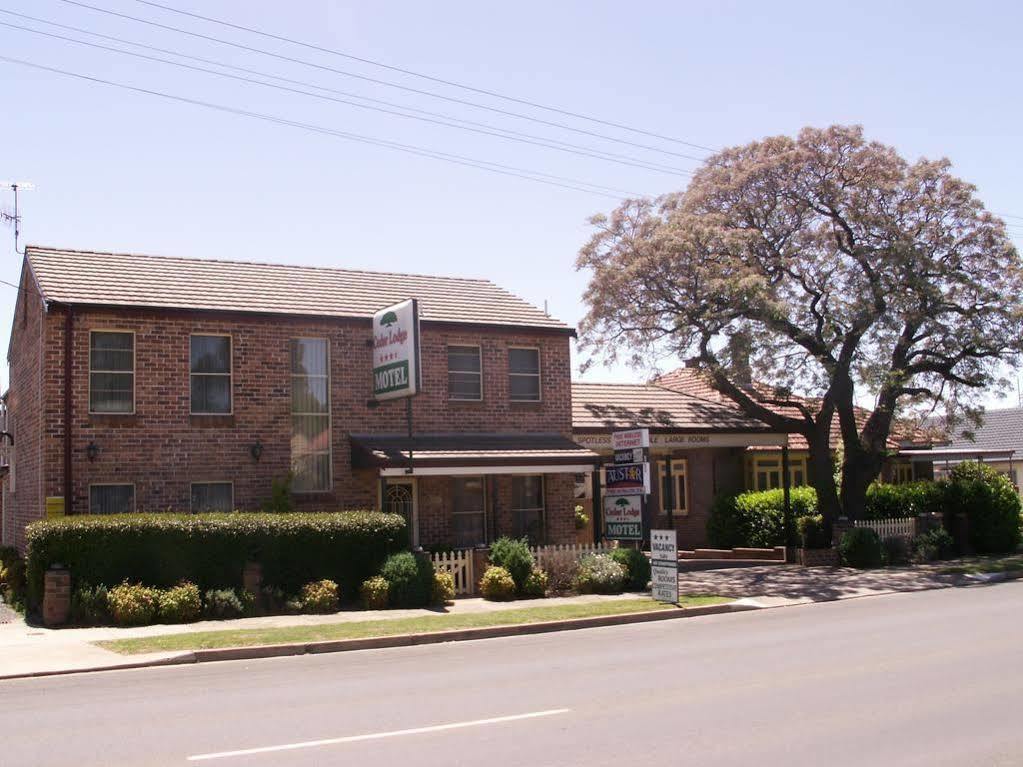 Cedar Lodge Motel Armidale Ngoại thất bức ảnh